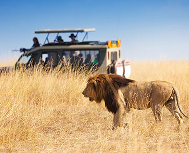 safari kenya tour operator